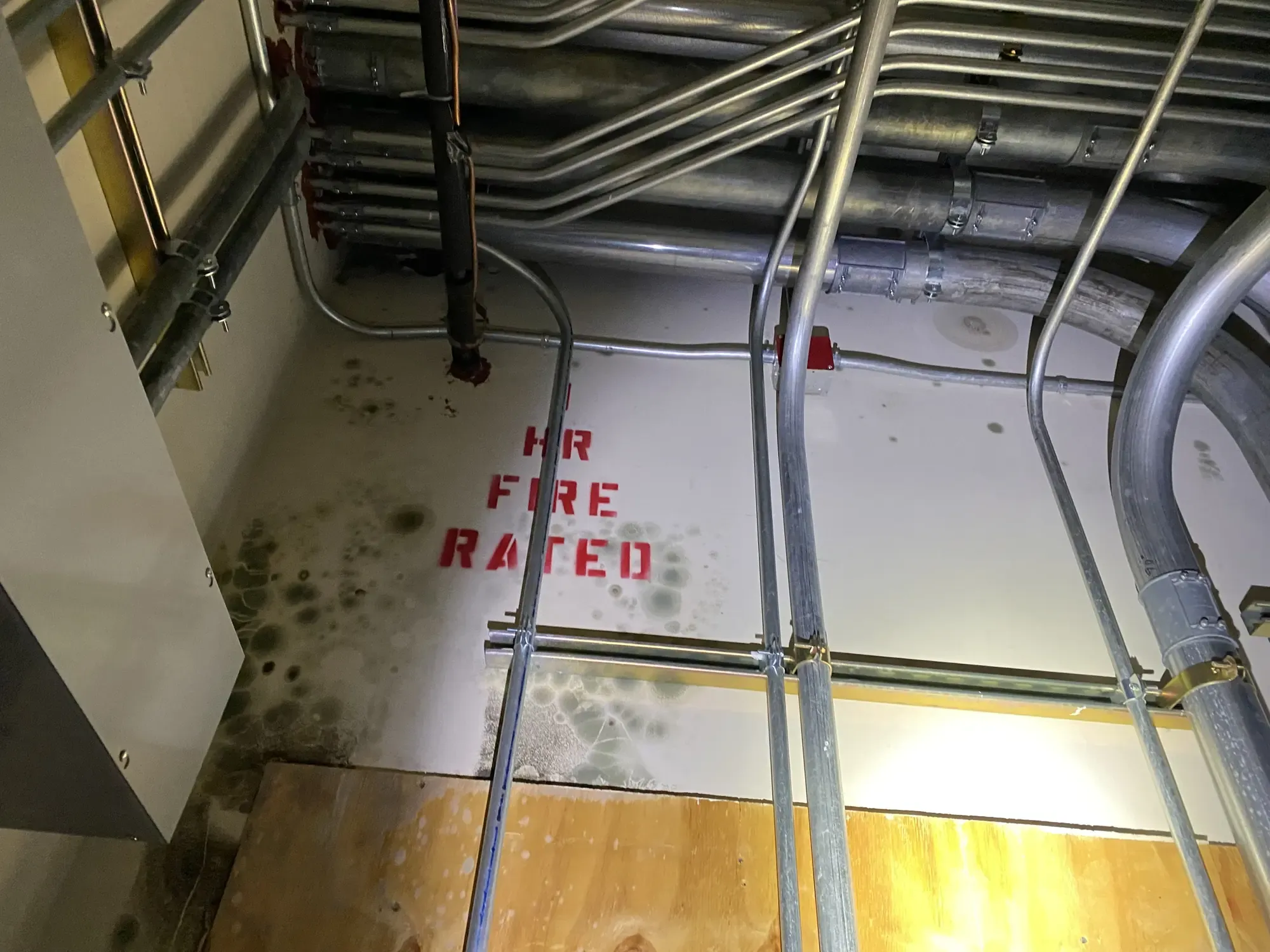 Mold spreading across a wall in a mechanical space, next to exposed conduit and a stenciled fire-rating label.